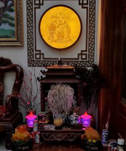Trang Trúc Chí Đẹp Đồng Kỵ